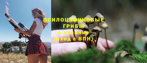 mdpv Каменногорск