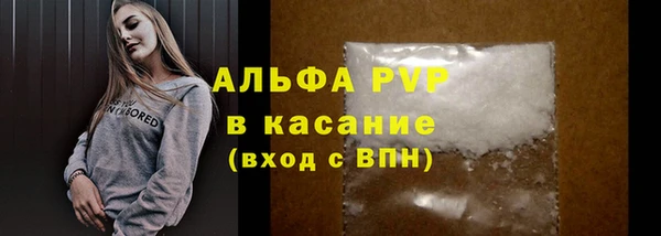 spice Инсар