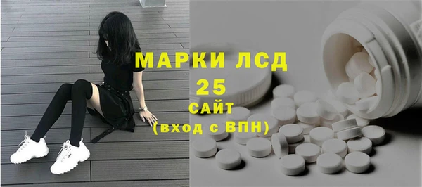 spice Инсар