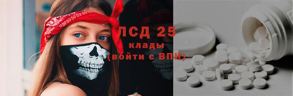 mdpv Каменногорск