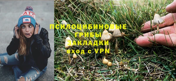 кокаин премиум Каменка